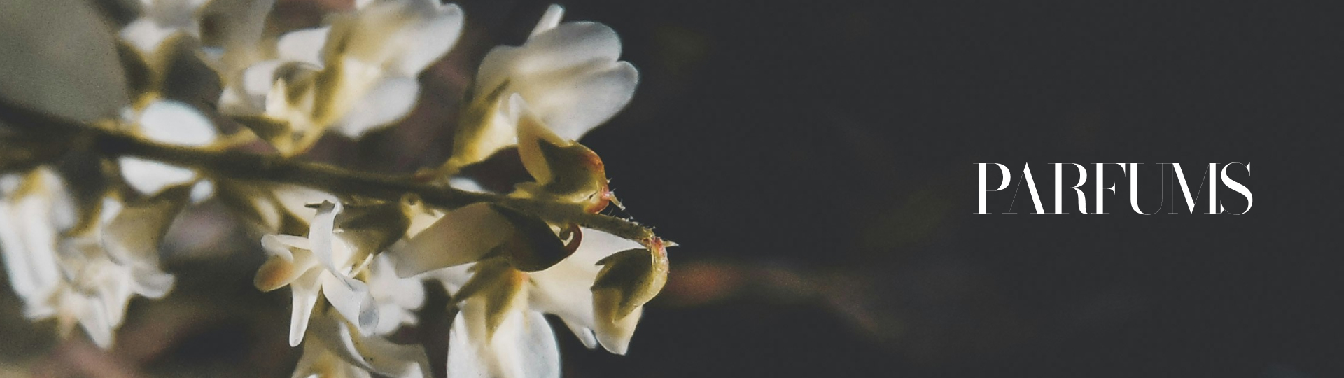Fragrances ESCALES - Eau de Parfum
