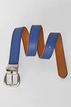 Reversible Belt