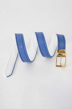 Reversible Belt