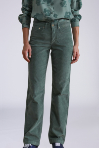 Брюки 5P 1000 Raies Jane