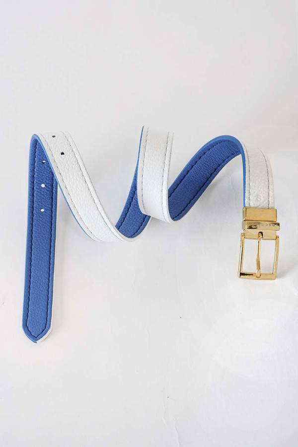 Reversible Belt